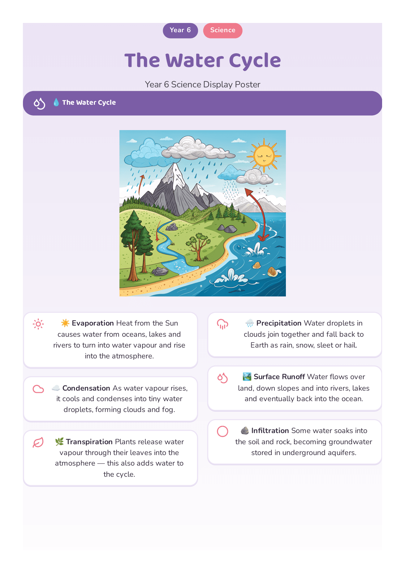 A Year 6 classroom poster of the water cycle with labelled stages around a central illustration.